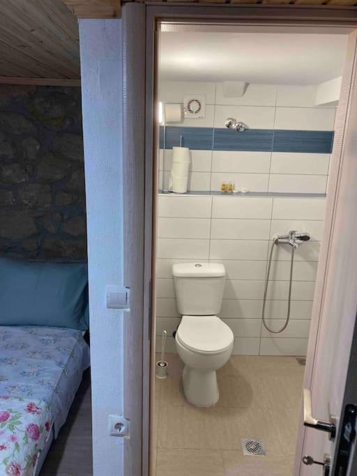 Mikraki Apartment Калампака Екстериор снимка